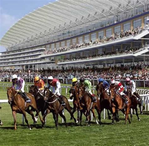 royal ascot reaults|Royal Ascot Festival Results Saturday 22nd June 2024 .